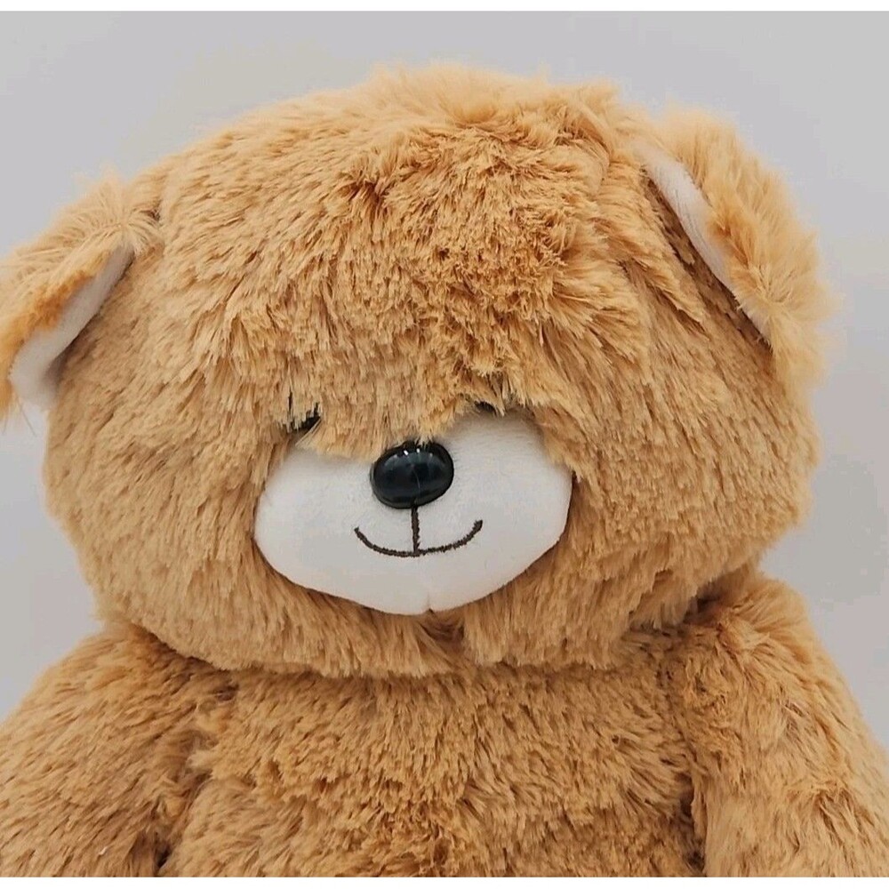 Radio Flyer Teddy Bear Brown 12" plush stuffed animal Super Soft - Picture 2 of 11